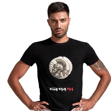 Veni Vidi Vici T-shirt